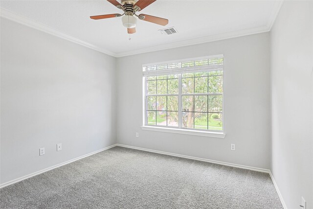 4204 Seminole Dr, Pearland, TX 77584 - photo 22