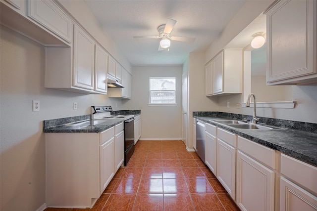 8411 Misty Vale Ln, Houston, TX 77075 - kitchen featuring electric stove, under cabinet range hood, a sink, baseboards, and stainless steel dishwasher