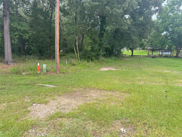 0 S Circle Dr, Livingston, TX 77351 - photo 10
