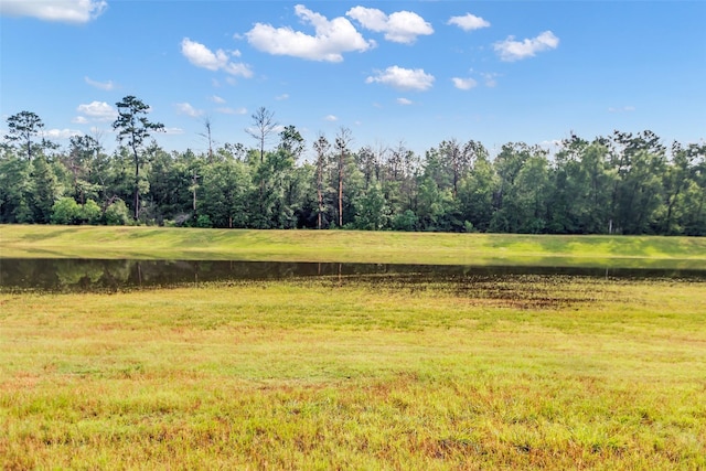28249 Woodland Bend Way, Spring, TX 77386 - view of undeveloped land