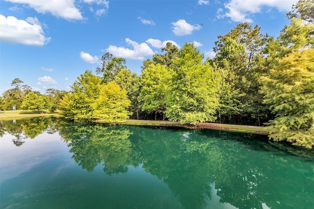 28249 Woodland Bend Way, Spring, TX 77386 - water view with a forest