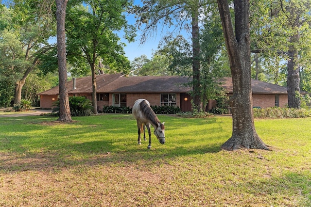 9809 Neuens Rd, Houston, TX 77080 - ranch-style house with a front yard and brick siding