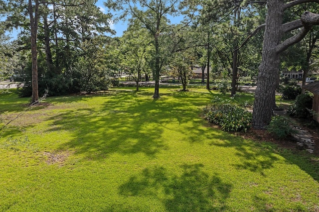9809 Neuens Rd, Houston, TX 77080 - photo 43