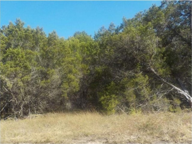 1609 Paradise Pkwy, Canyon Lake, TX 78133