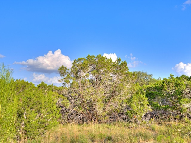 1609 Paradise Pkwy, Canyon Lake, TX 78133