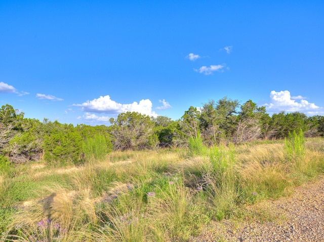 1609 Paradise Pkwy, Canyon Lake, TX 78133