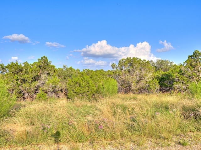 1609 Paradise Pkwy, Canyon Lake, TX 78133
