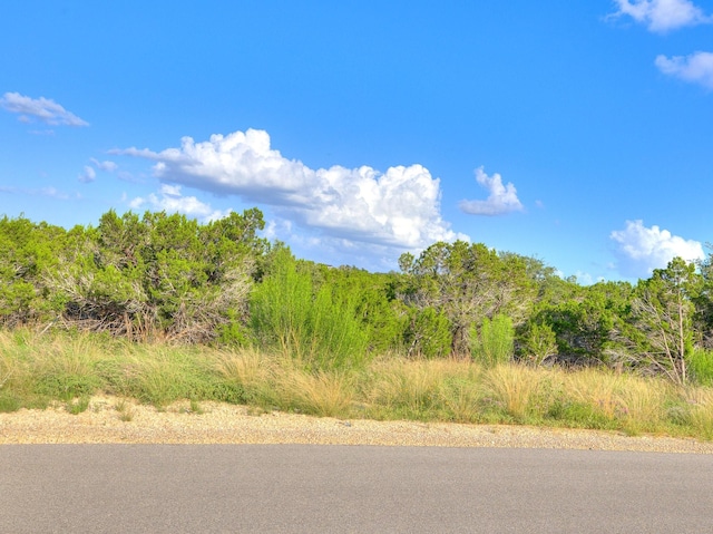 1609 Paradise Pkwy, Canyon Lake, TX 78133