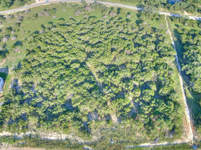 1609 Paradise Pkwy, Canyon Lake, TX 78133