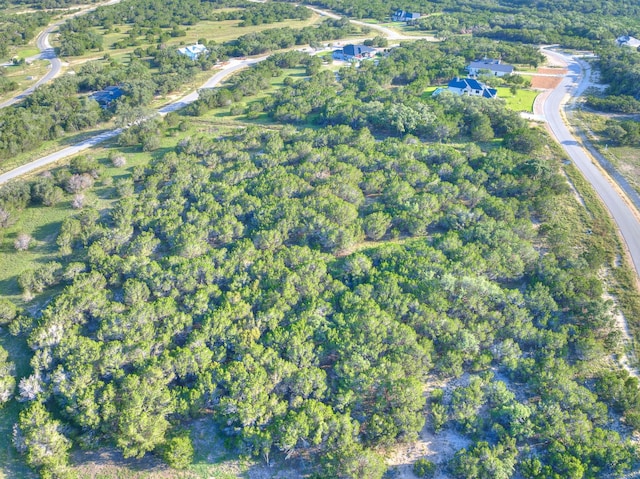1609 Paradise Pkwy, Canyon Lake, TX 78133
