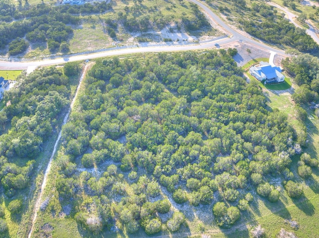 1609 Paradise Pkwy, Canyon Lake, TX 78133