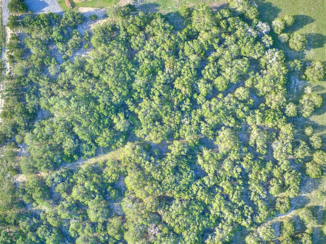 1609 Paradise Pkwy, Canyon Lake, TX 78133