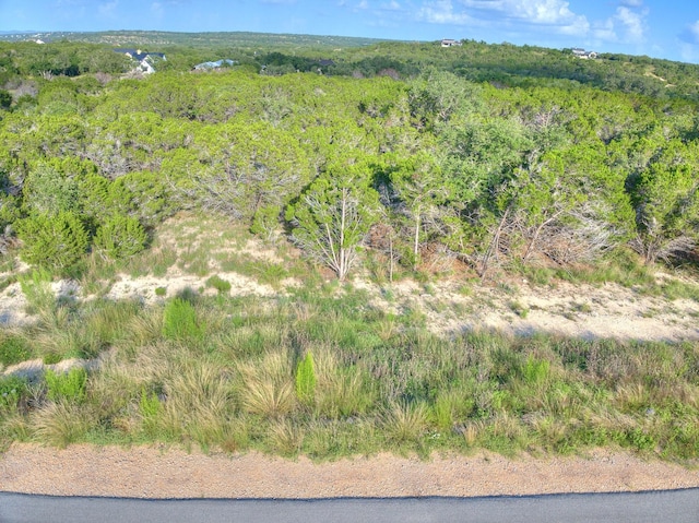 1609 Paradise Pkwy, Canyon Lake, TX 78133