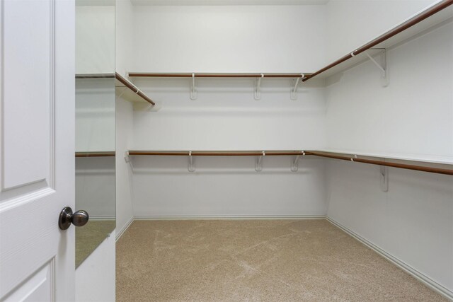 7014 Lake Haven Ct, Sugar Land, TX 77479 - spacious closet featuring carpet floors
