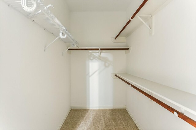 7014 Lake Haven Ct, Sugar Land, TX 77479 - spacious closet with carpet flooring