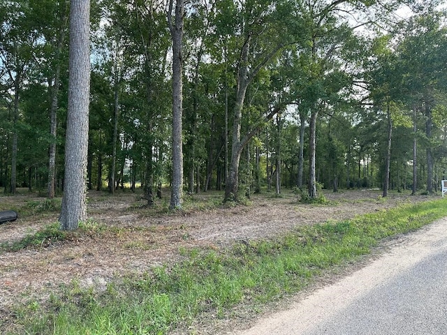 000 Blackburn Dr, Splendora, TX 77372 - photo 1