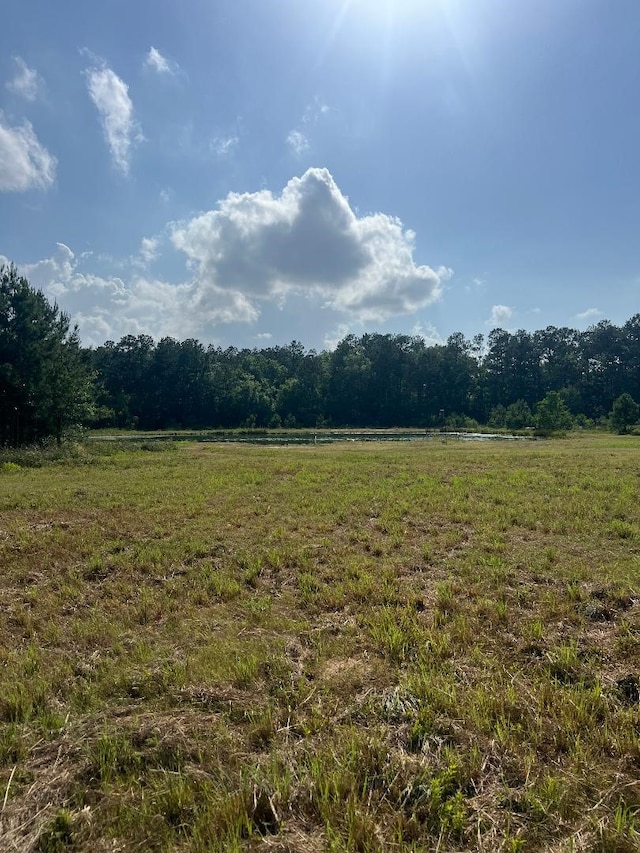 000 Blackburn Dr, Splendora, TX 77372 - photo 3