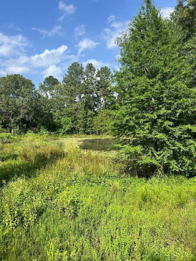 000 Blackburn Dr, Splendora, TX 77372 - photo 4