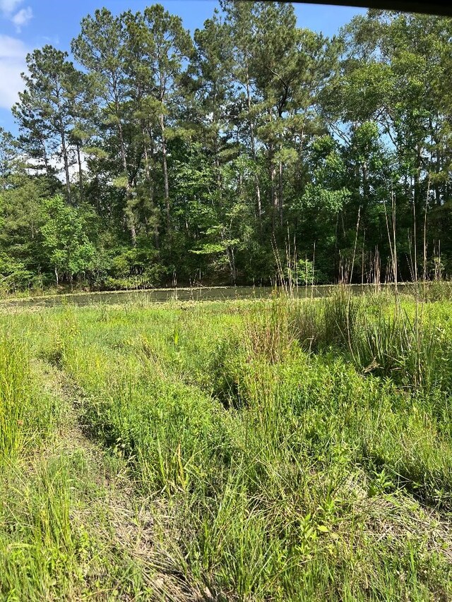 000 Blackburn Dr, Splendora, TX 77372 - photo 5