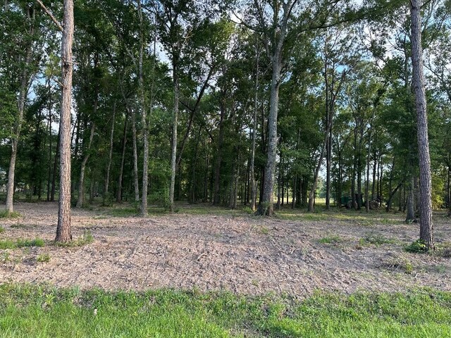 000 Blackburn Dr, Splendora, TX 77372 - photo 9