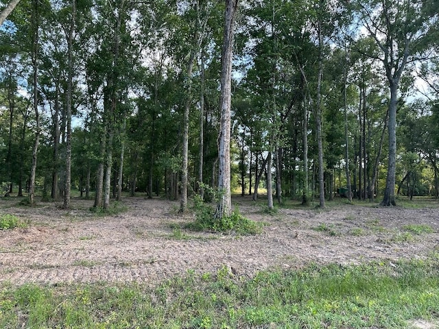 000 Blackburn Dr, Splendora, TX 77372 - photo 12