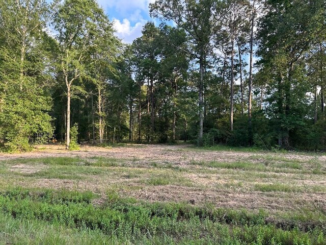 000 Blackburn Dr, Splendora, TX 77372 - photo 13
