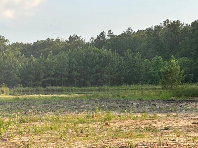 000 Blackburn Dr, Splendora, TX 77372 - photo 14