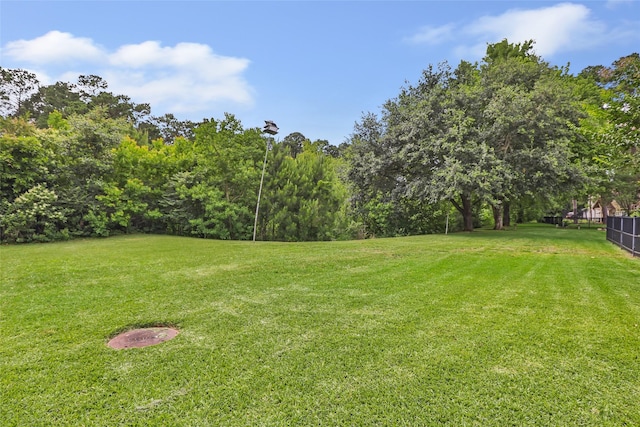12121 Maverick Dr, Willis, TX 77378 - view of green lawn