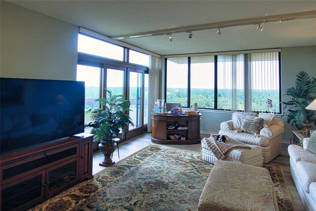 14655 Champion Forest Dr Unit 1102, Houston, TX 77069 - living area featuring wood finished floors, plenty of natural light, and track lighting