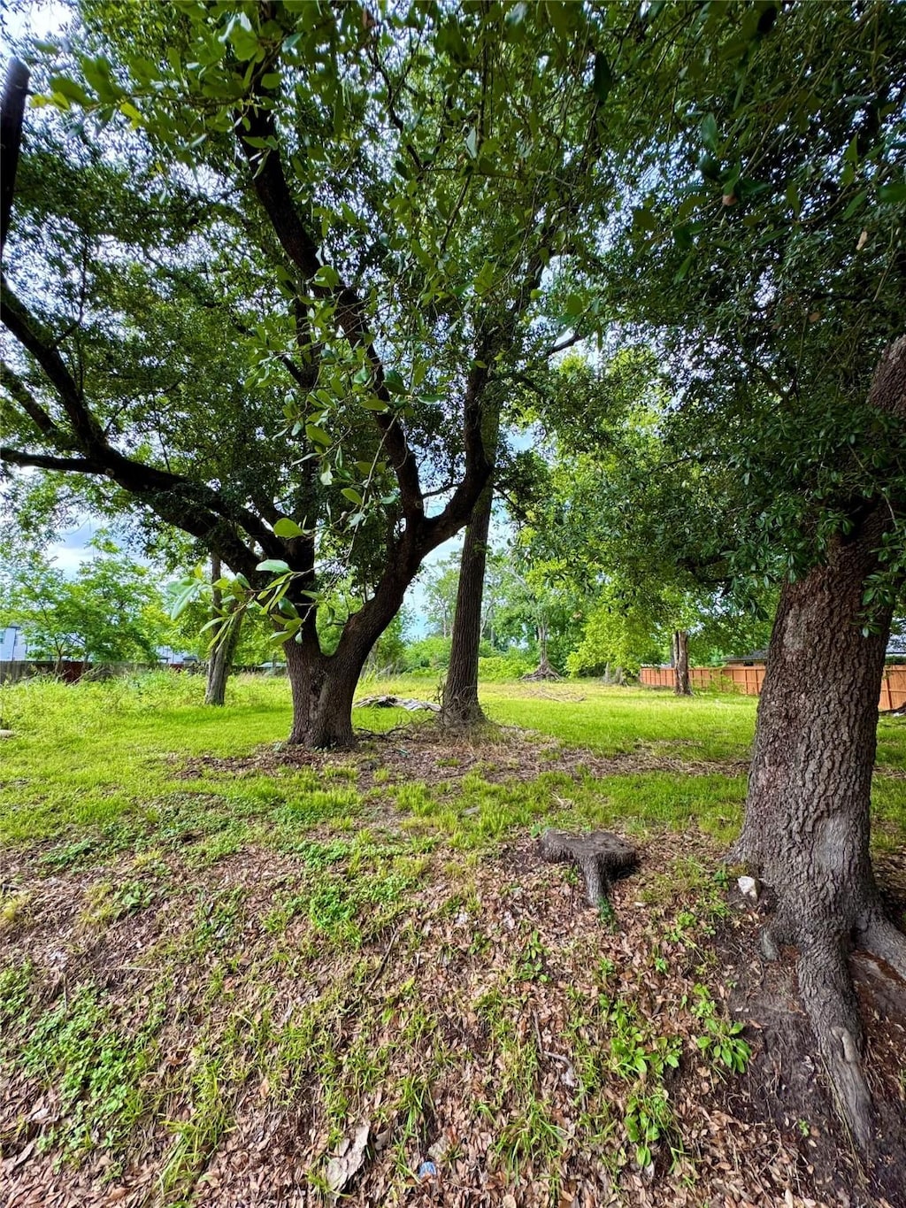 1926 Dolly Wright Rd, Houston, TX 77088