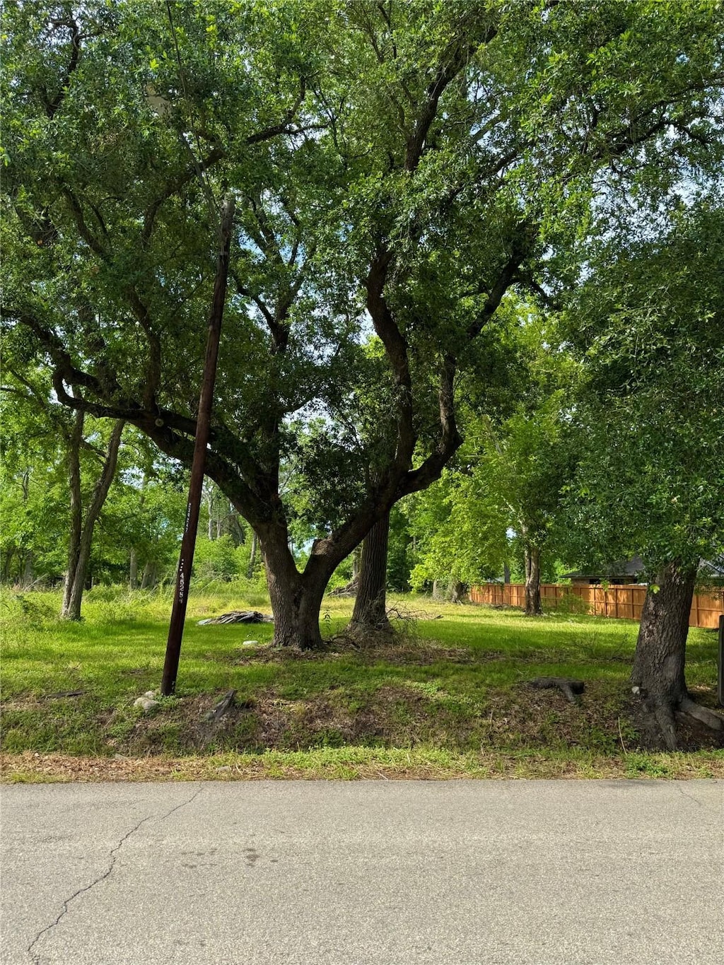 1926 Dolly Wright Rd, Houston, TX 77088