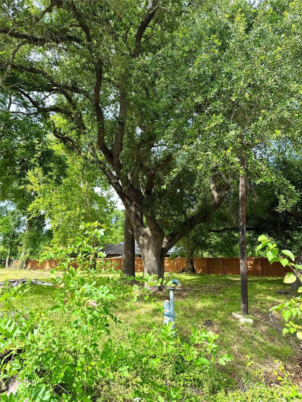 1926 Dolly Wright Rd, Houston, TX 77088