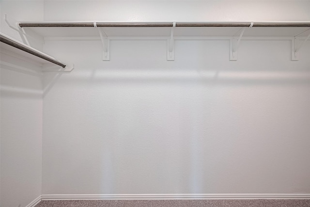 31630 Heguy Pass, Fulshear, TX 77441 - walk in closet with carpet