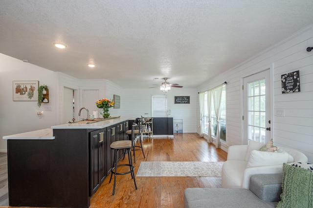 6840 County Road 659, Brazoria, TX 77422 - kitchen with dark cabinetry, light countertops, light wood-type flooring, an island with sink, and open floor plan
