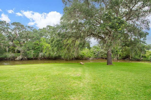 6840 County Road 659, Brazoria, TX 77422 - view of grassy yard featuring a water view