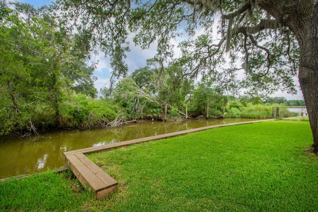 6840 County Road 659, Brazoria, TX 77422 - view of green lawn with a water view