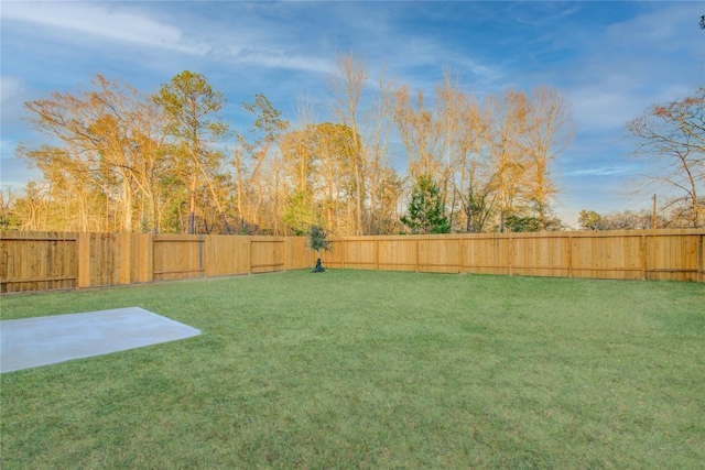 10699 Lost Maples Dr, Cleveland, TX 77328 - view of yard featuring a patio