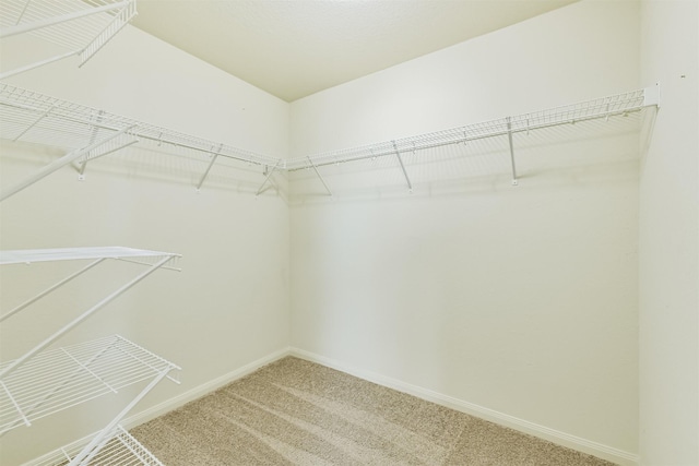 22303 Bauer Garden Dr, Hockley, TX 77447 - walk in closet with light carpet