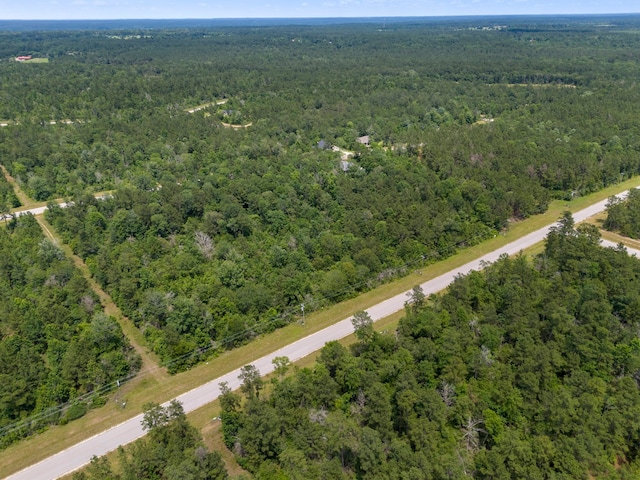 110 Coyote Run, New Waverly, TX 77358