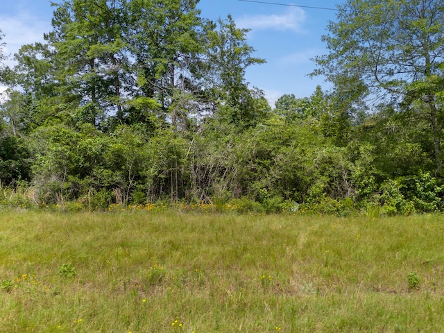 110 Coyote Run, New Waverly, TX 77358