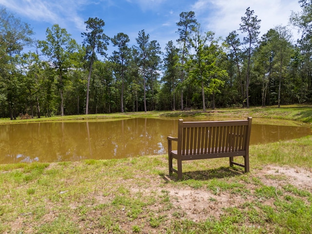 110 Coyote Run, New Waverly, TX 77358