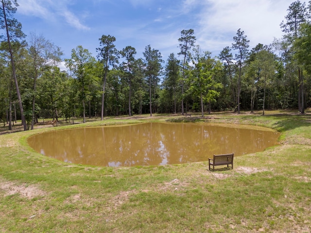 110 Coyote Run, New Waverly, TX 77358