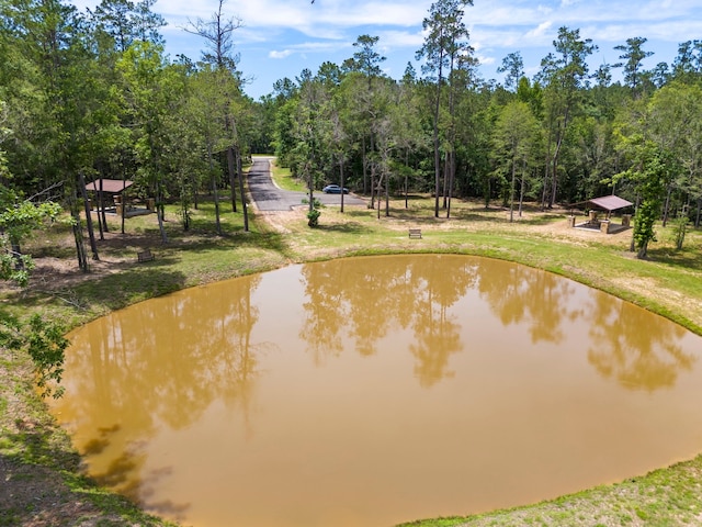 110 Coyote Run, New Waverly, TX 77358