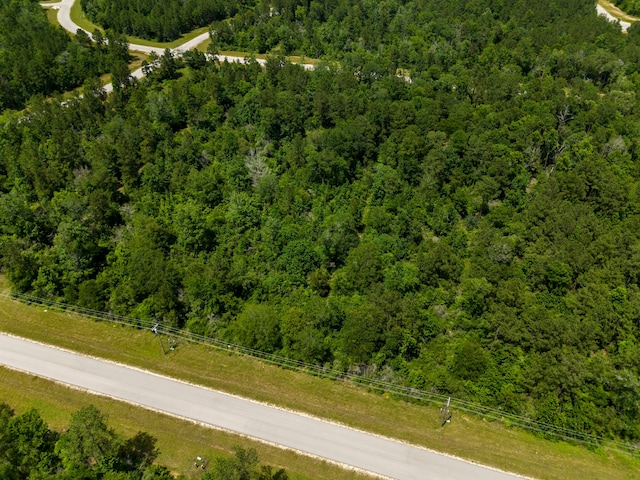110 Coyote Run, New Waverly, TX 77358