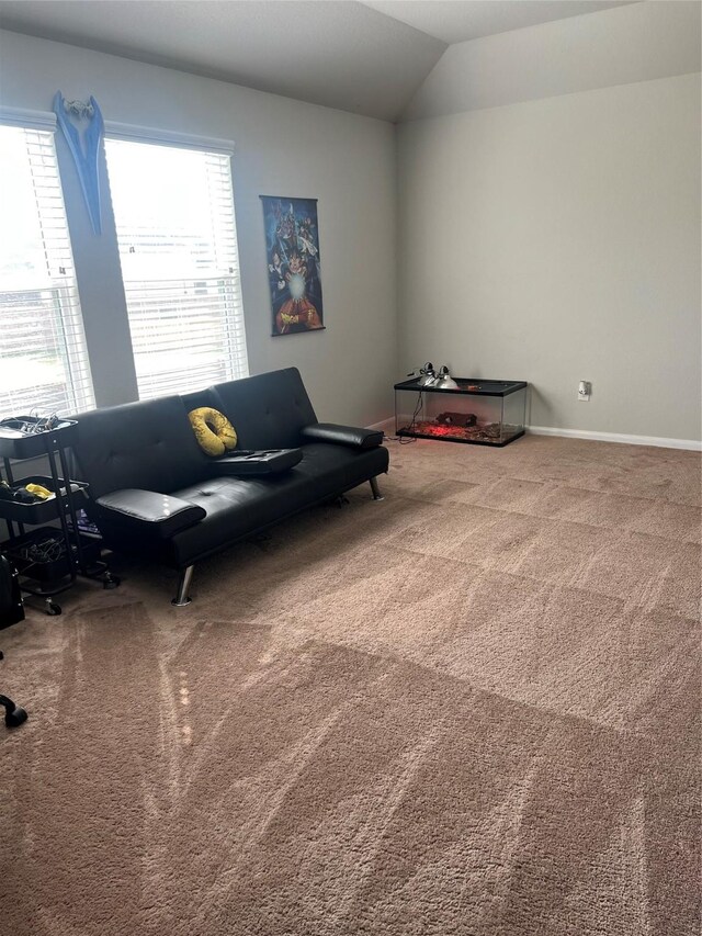 11111 Grape Hyacinth Ln, Houston, TX 77044 - living area with carpet floors, vaulted ceiling, and baseboards