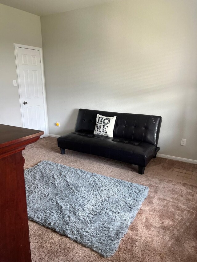 11111 Grape Hyacinth Ln, Houston, TX 77044 - living area featuring carpet flooring and baseboards