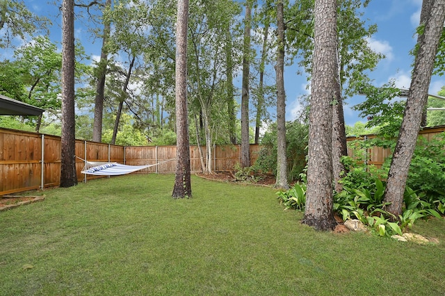 2003 Hidden Creek Dr, Houston, TX 77339 - view of yard