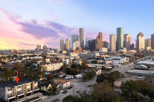 1518 Houston Ave, Houston, TX 77007 - view of city skyline