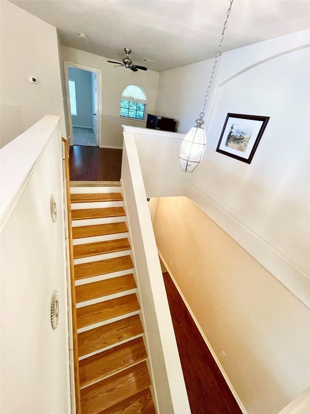 13050 Echo Landing Dr, Houston, TX 77070 - photo 11
