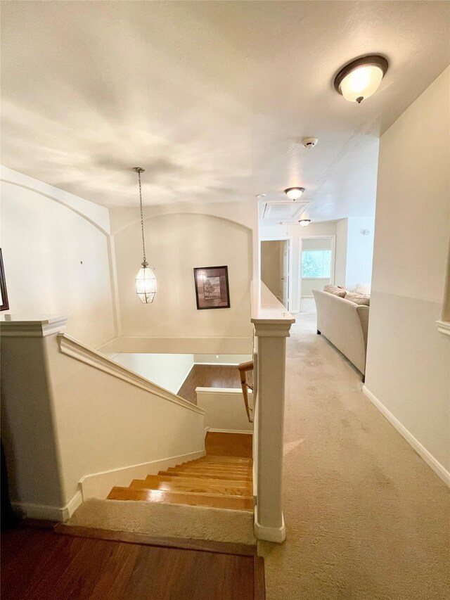 13050 Echo Landing Dr, Houston, TX 77070 - photo 12